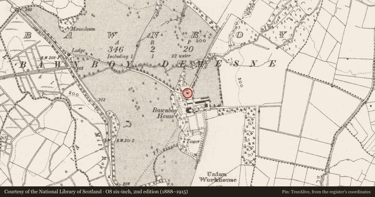 Ordnance Survey six-inch map, 2nd edition (1888–1915) covering the location of Bawn, Bawnboy, County Cavan, with a pin at the register's coordinates