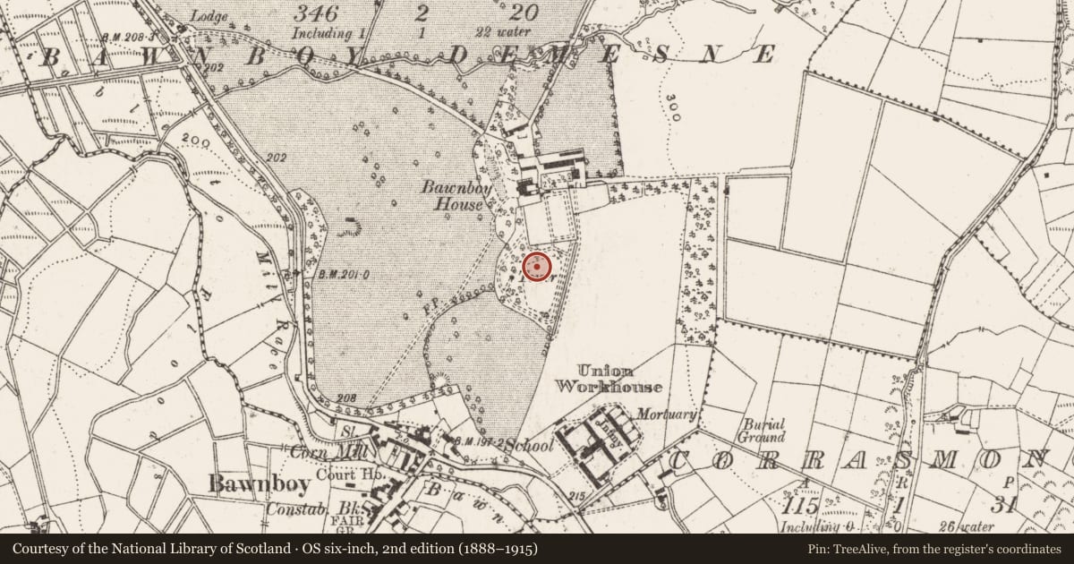Ordnance Survey six-inch map, 2nd edition (1888–1915) covering the location of Structure, Bawnboy, County Cavan, with a pin at the register's coordinates
