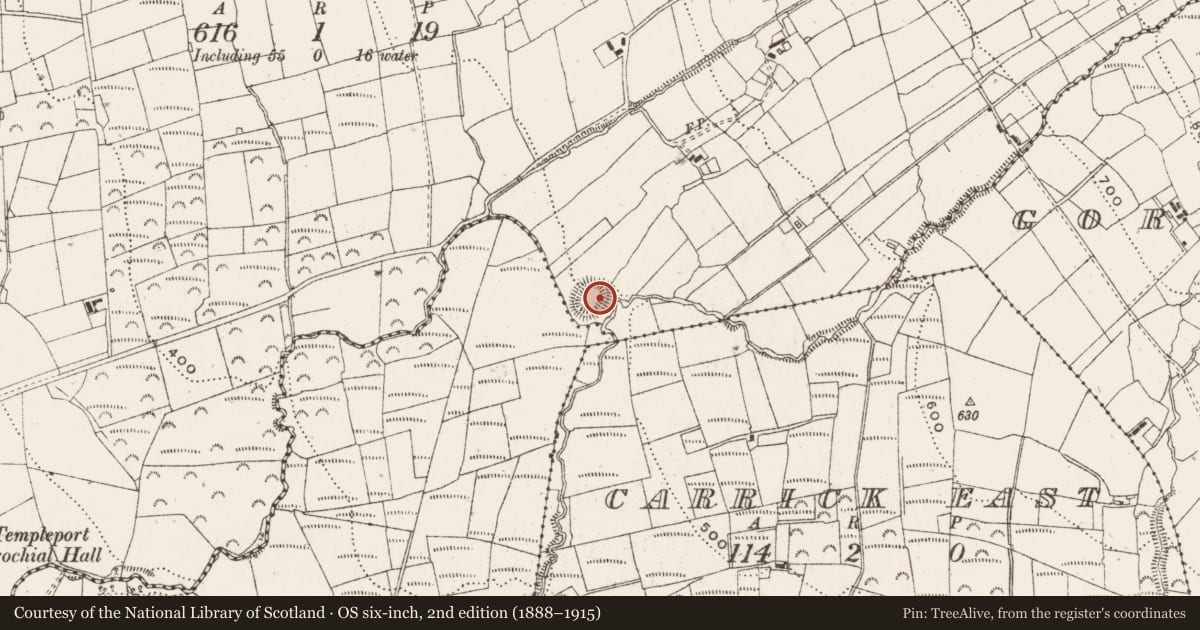 Ordnance Survey six-inch map, 2nd edition (1888–1915) covering the location of Ringfort - rath, Brackley, County Cavan, with a pin at the register's coordinates