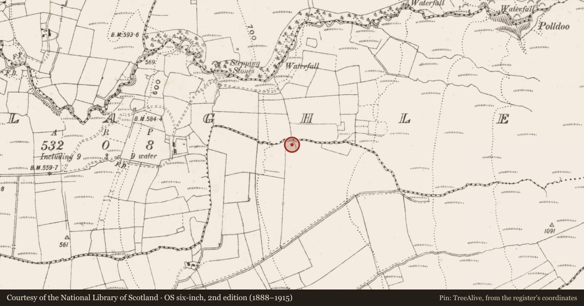 Ordnance Survey six-inch map, 2nd edition (1888–1915) covering the location of Enclosure, Brackley, County Cavan, with a pin at the register's coordinates