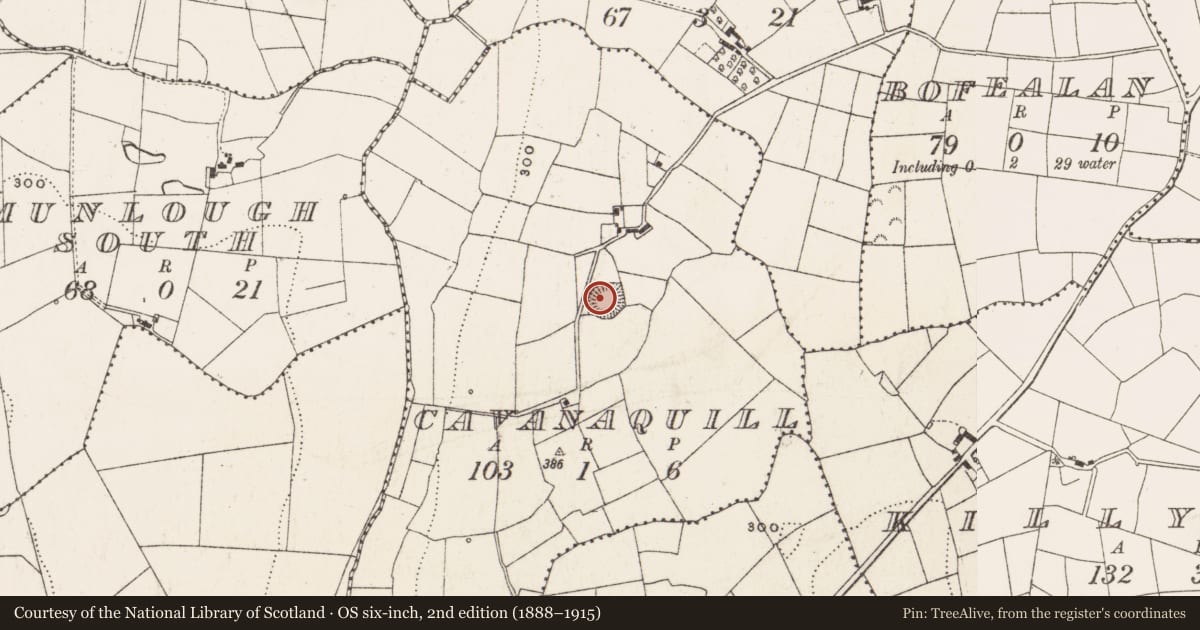 Ordnance Survey six-inch map, 2nd edition (1888–1915) covering the location of Ringfort - rath, Cavanaquill, County Cavan, with a pin at the register's coordinates