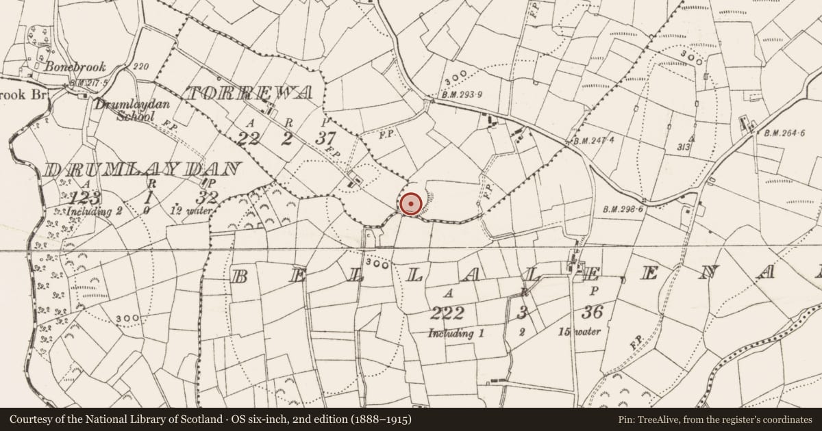 Ordnance Survey six-inch map, 2nd edition (1888–1915) covering the location of Enclosure, Culliagh, County Cavan, with a pin at the register's coordinates