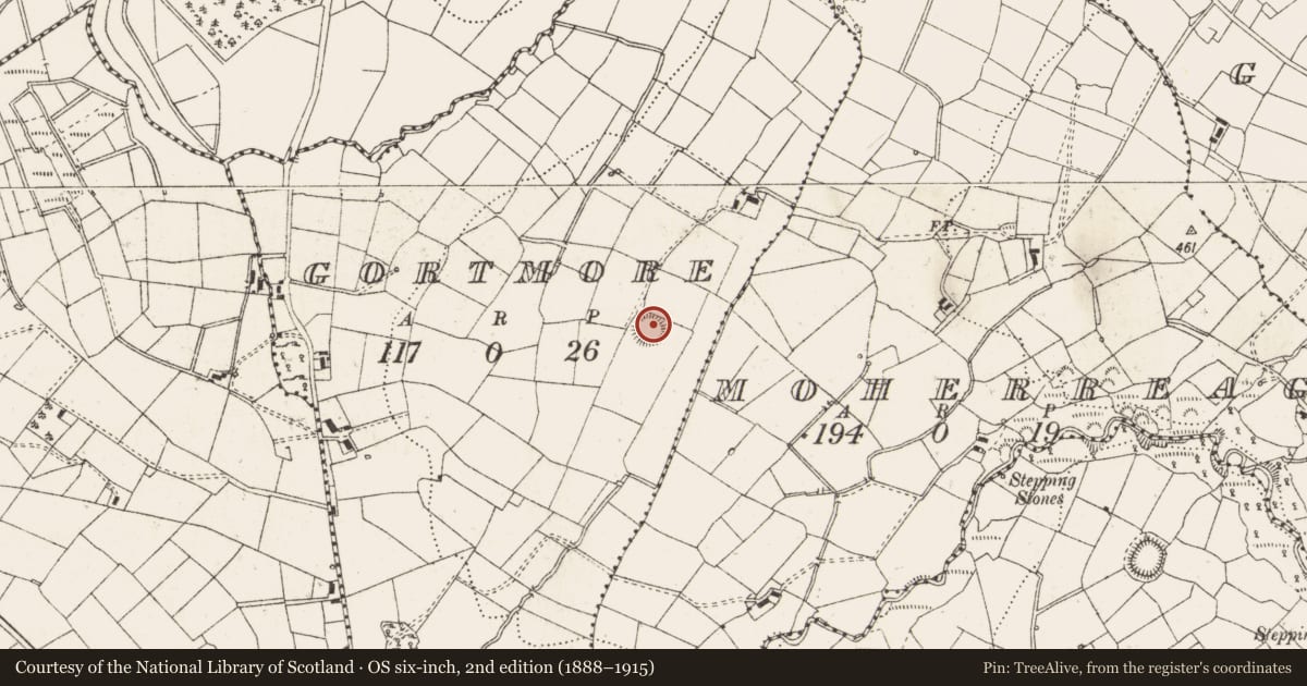 Ordnance Survey six-inch map, 2nd edition (1888–1915) covering the location of Ringfort - rath, Gortmore, County Cavan, with a pin at the register's coordinates