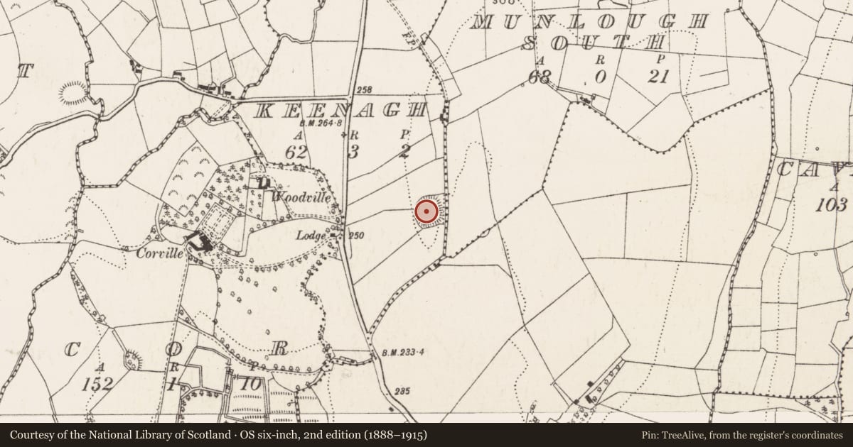 Ordnance Survey six-inch map, 2nd edition (1888–1915) covering the location of Ringfort - rath, Keenagh, County Cavan, with a pin at the register's coordinates