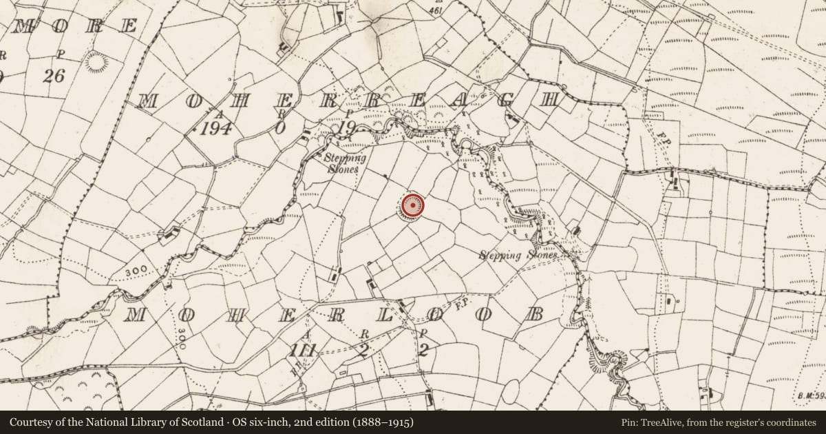 Ordnance Survey six-inch map, 2nd edition (1888–1915) covering the location of Ringfort - rath, Moherloob, County Cavan, with a pin at the register's coordinates