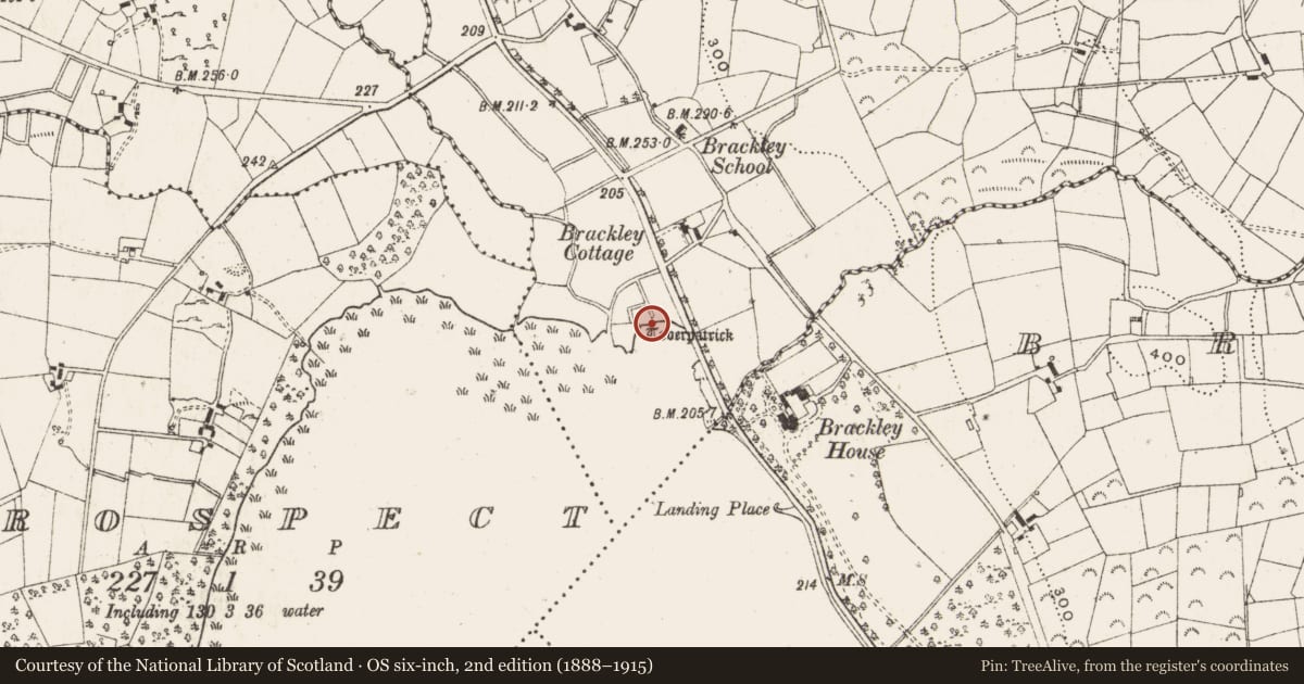 Ordnance Survey six-inch map, 2nd edition (1888–1915) covering the location of Ritual site - holy well, Mullaghlea, County Cavan, with a pin at the register's coordinates