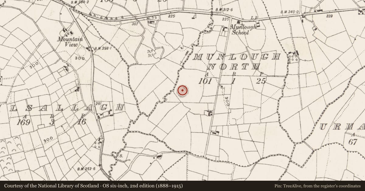 Ordnance Survey six-inch map, 2nd edition (1888–1915) covering the location of Ringfort - rath, Munlough North, County Cavan, with a pin at the register's coordinates