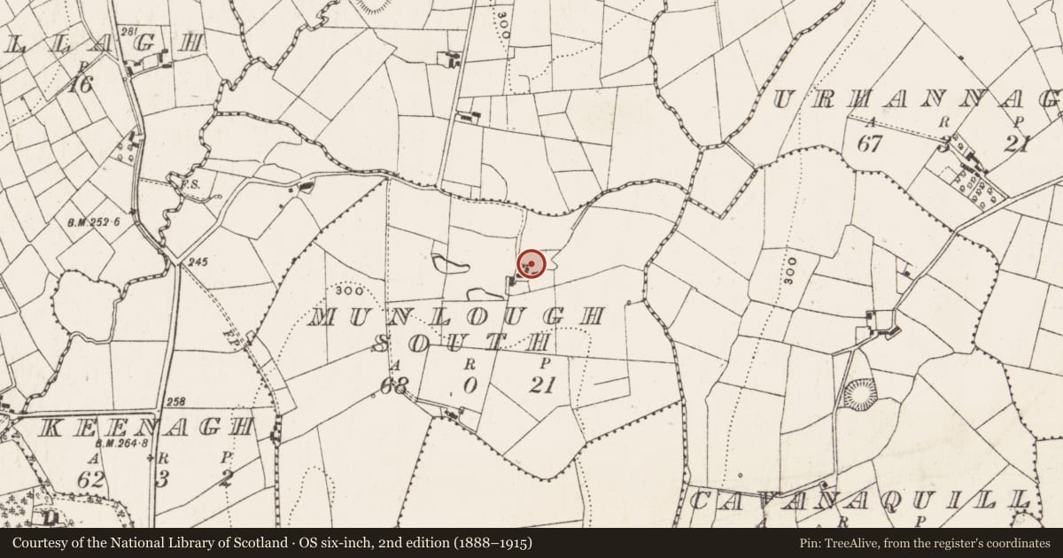 Ordnance Survey six-inch map, 2nd edition (1888–1915) covering the location of Ringfort - rath, Munlough South, County Cavan, with a pin at the register's coordinates
