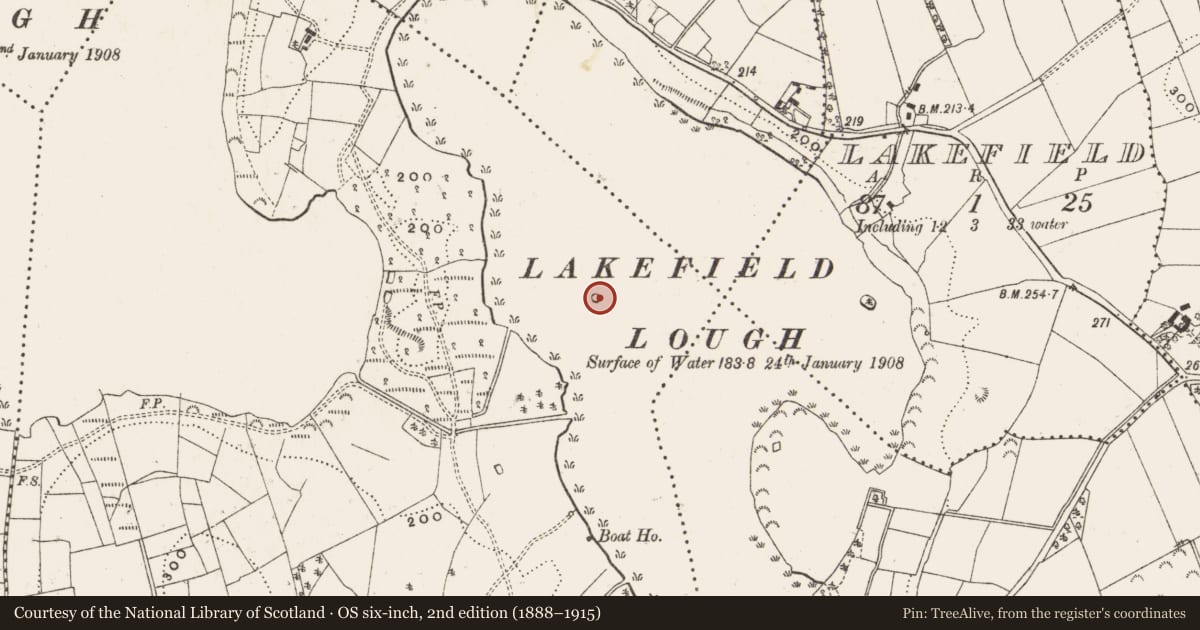 Ordnance Survey six-inch map, 2nd edition (1888–1915) covering the location of Crannog, Owngallees, County Cavan, with a pin at the register's coordinates