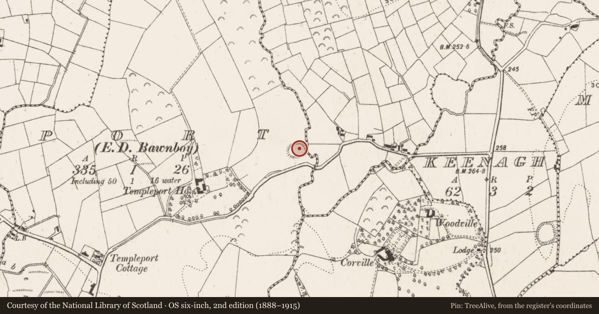 Ordnance Survey six-inch map, 2nd edition (1888–1915) covering the location of Ringfort - rath, Port, County Cavan, with a pin at the register's coordinates