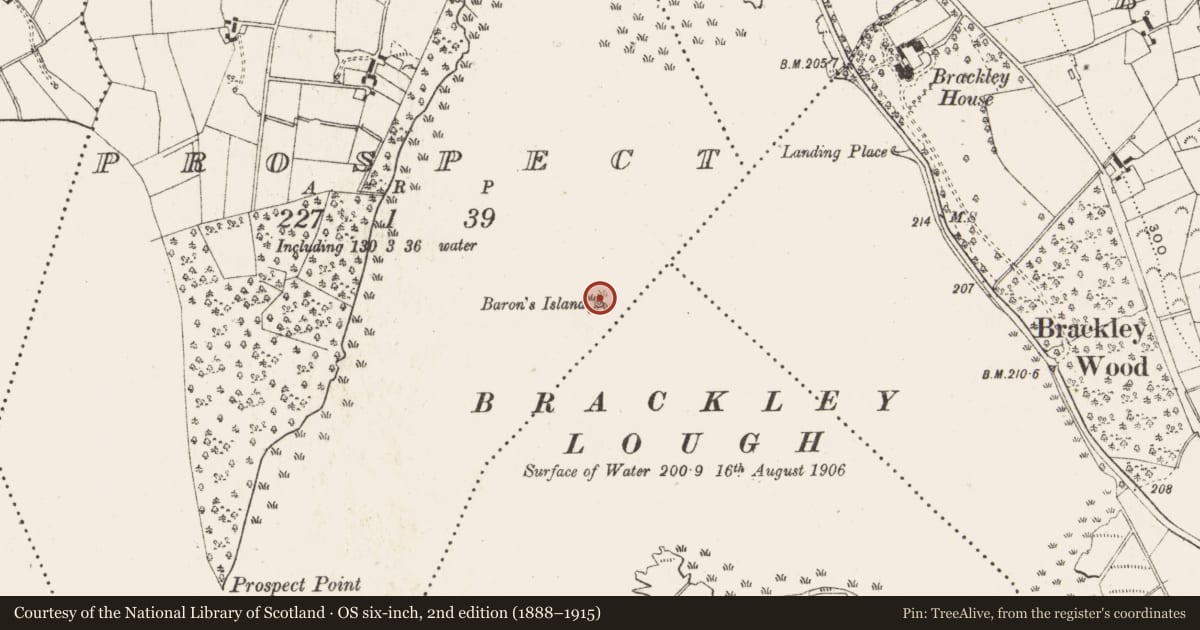 Ordnance Survey six-inch map, 2nd edition (1888–1915) covering the location of Crannog, Prospect, County Cavan, with a pin at the register's coordinates