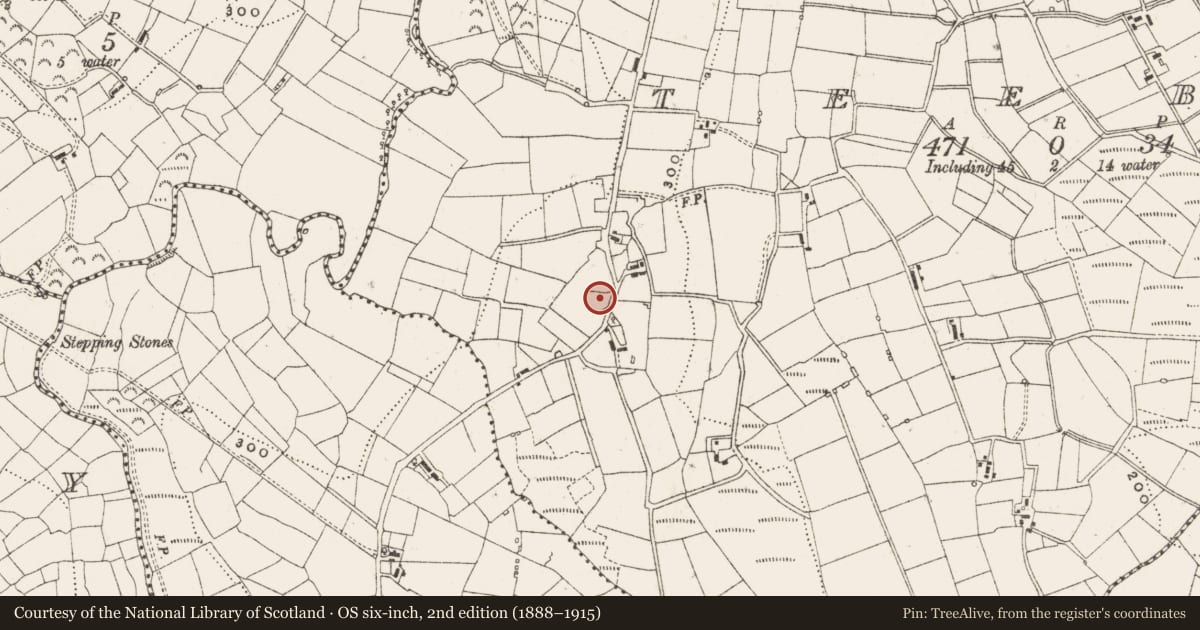 Ordnance Survey six-inch map, 2nd edition (1888–1915) covering the location of Ringfort - rath, Teeboy, County Cavan, with a pin at the register's coordinates