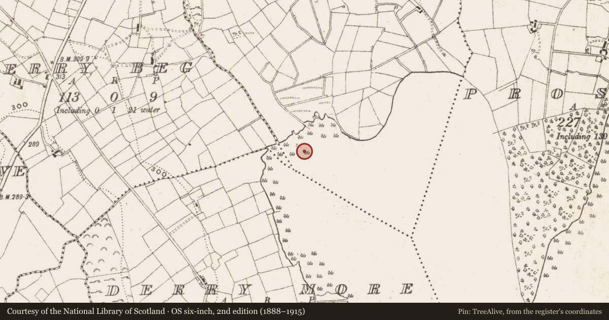 Ordnance Survey six-inch map, 2nd edition (1888–1915) covering the location of Crannog, Scrabby, County Cavan, with a pin at the register's coordinates