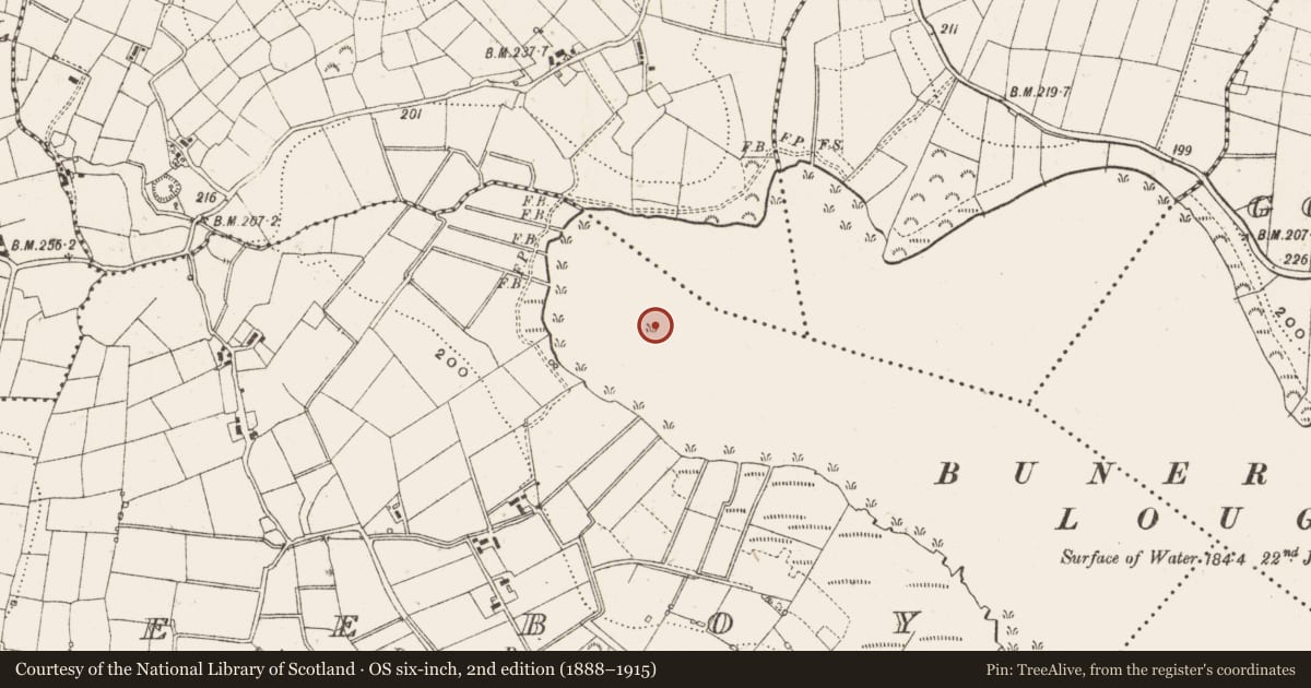 Ordnance Survey six-inch map, 2nd edition (1888–1915) covering the location of Crannog, Teeboy, County Cavan, with a pin at the register's coordinates