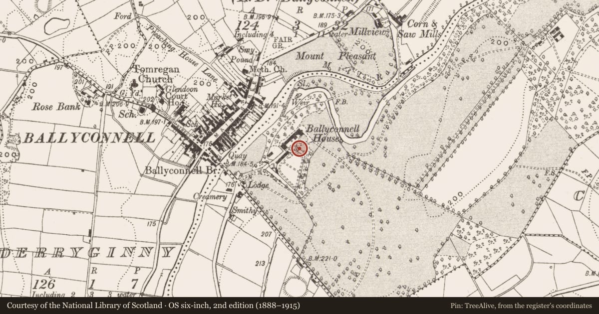 Ordnance Survey six-inch map, 2nd edition (1888–1915) covering the location of Castle - unclassified, Annagh, County Cavan, with a pin at the register's coordinates