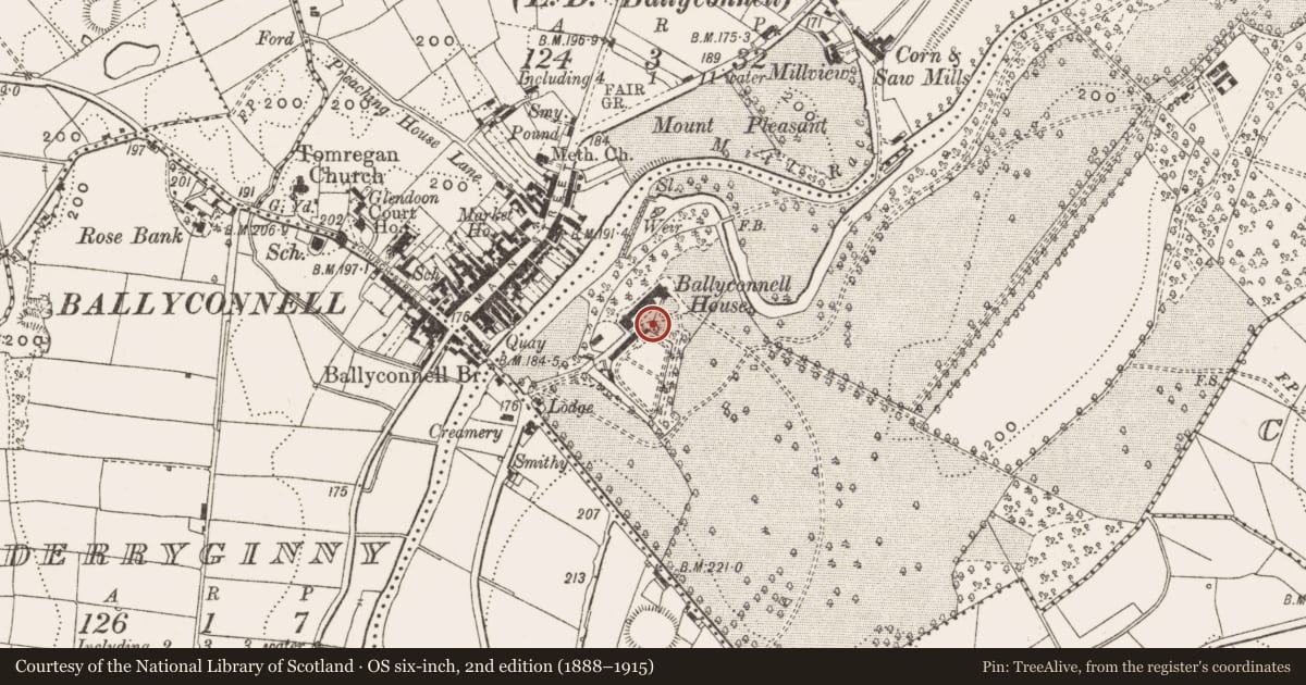 Ordnance Survey six-inch map, 2nd edition (1888–1915) covering the location of Bawn, Annagh, County Cavan, with a pin at the register's coordinates