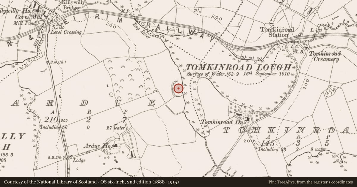 Ordnance Survey six-inch map, 2nd edition (1888–1915) covering the location of Ringfort - rath, Ardue, County Cavan, with a pin at the register's coordinates