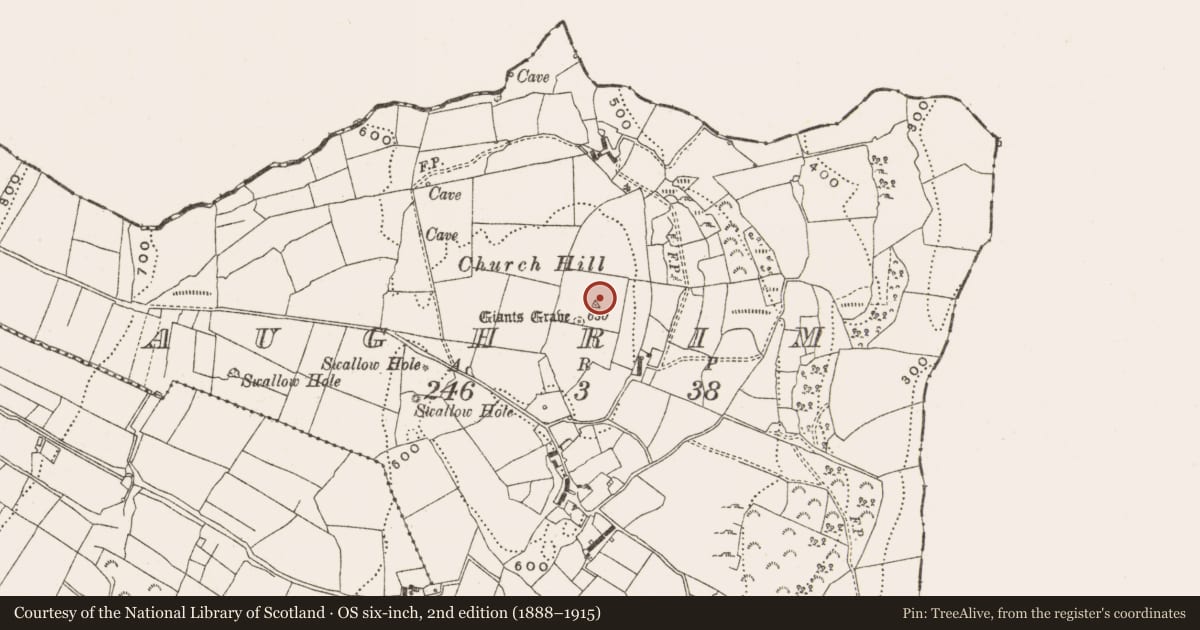 Ordnance Survey six-inch map, 2nd edition (1888–1915) covering the location of Megalithic tomb - wedge tomb, Aughrim, County Cavan, with a pin at the register's coordinates
