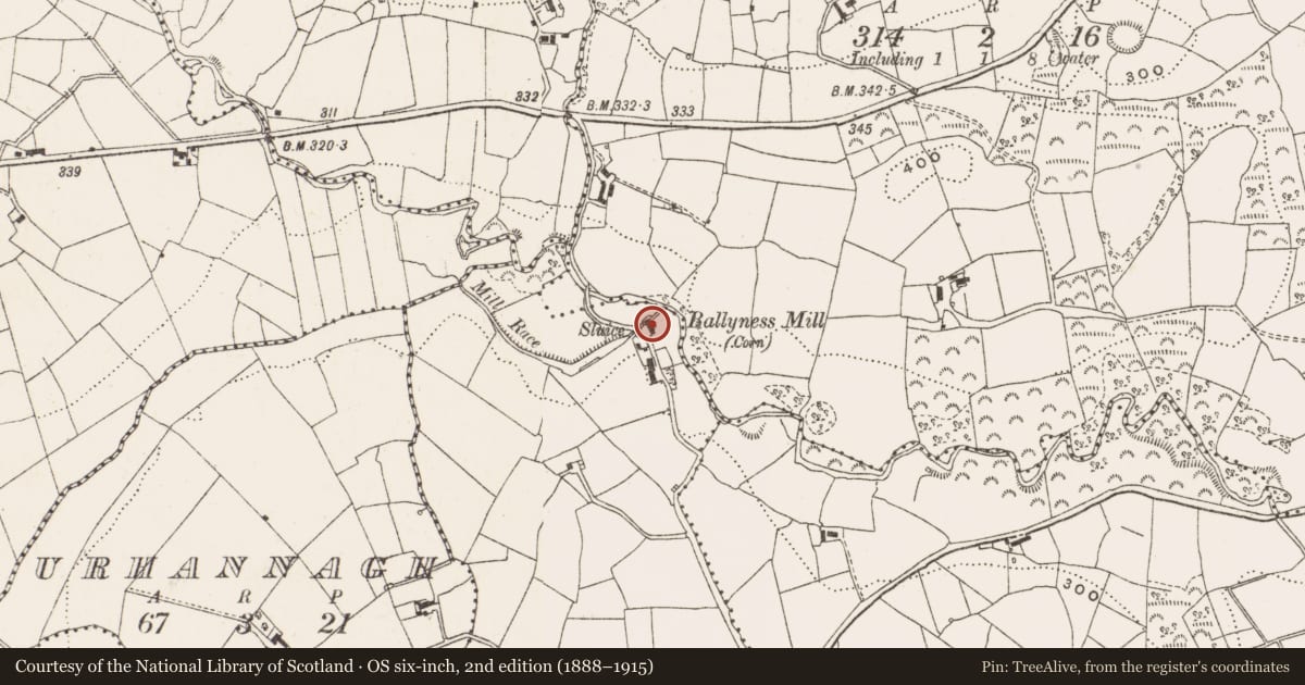 Ordnance Survey six-inch map, 2nd edition (1888–1915) covering the location of Mill - unclassified, Bofealan, County Cavan, with a pin at the register's coordinates