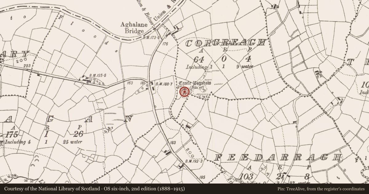 Ordnance Survey six-inch map, 2nd edition (1888–1915) covering the location of Ringfort - rath, Corgreagh, County Cavan, with a pin at the register's coordinates