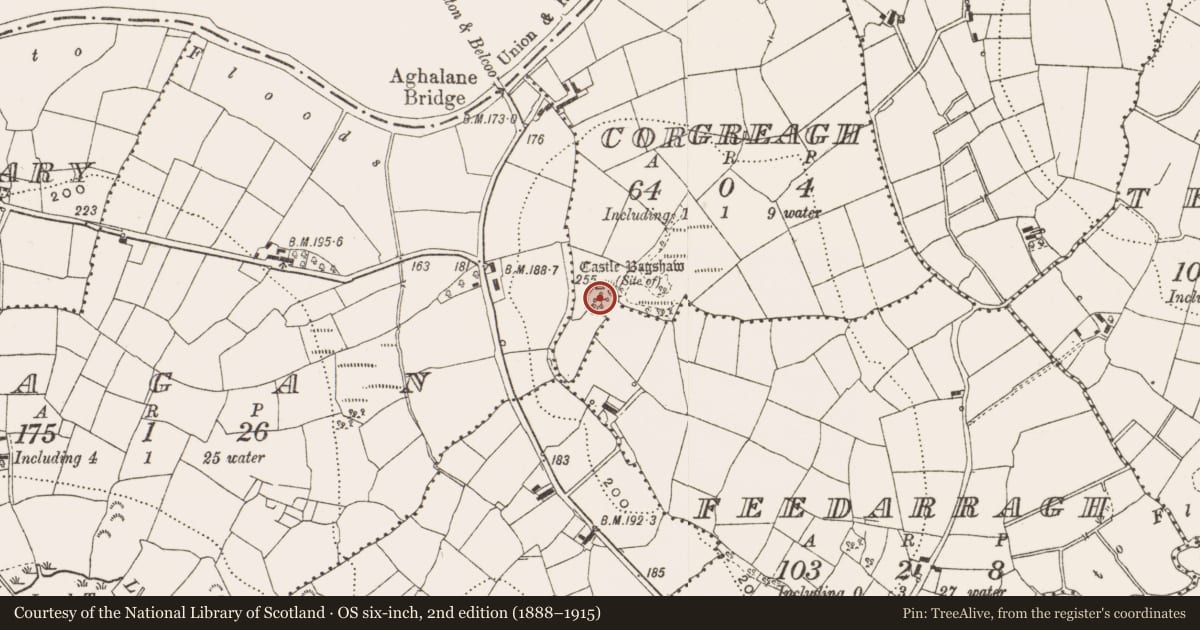 Ordnance Survey six-inch map, 2nd edition (1888–1915) covering the location of Castle - unclassified, Corgreagh, County Cavan, with a pin at the register's coordinates