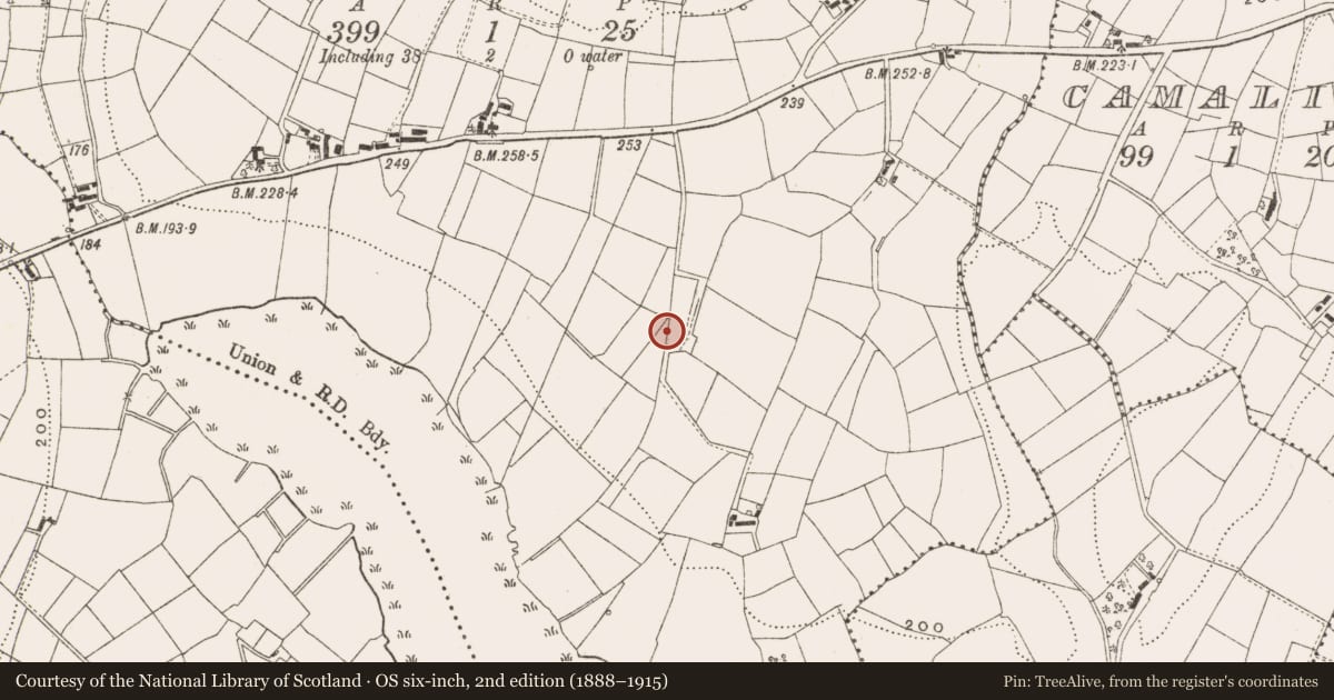 Ordnance Survey six-inch map, 2nd edition (1888–1915) covering the location of Ringfort - rath, Cuillaghan, County Cavan, with a pin at the register's coordinates