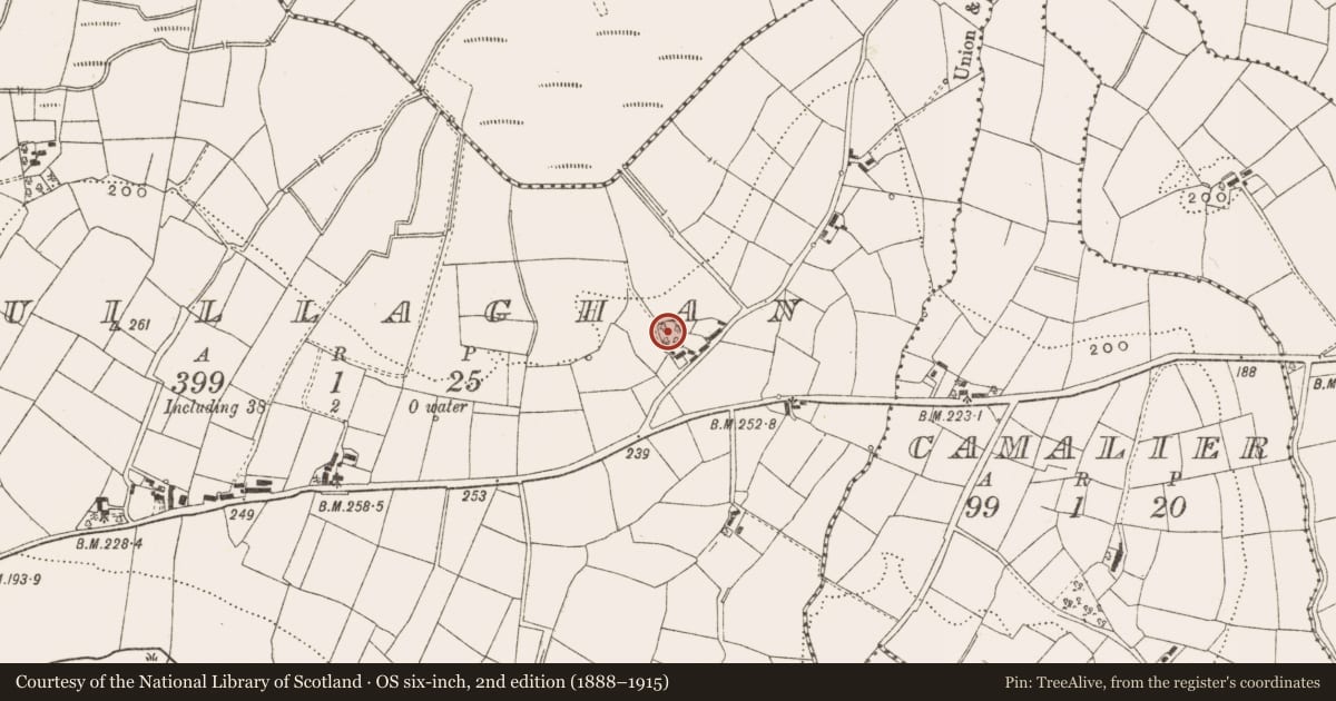 Ordnance Survey six-inch map, 2nd edition (1888–1915) covering the location of Enclosure, Cuillaghan, County Cavan, with a pin at the register's coordinates