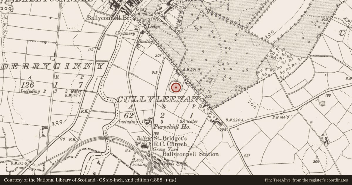 Ordnance Survey six-inch map, 2nd edition (1888–1915) covering the location of Ringfort - rath, Cullyleenan, County Cavan, with a pin at the register's coordinates