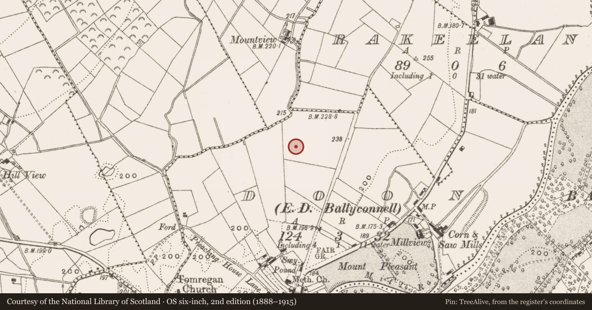 Ordnance Survey six-inch map, 2nd edition (1888–1915) covering the location of Megalithic tomb - court tomb, Doon, County Cavan, with a pin at the register's coordinates