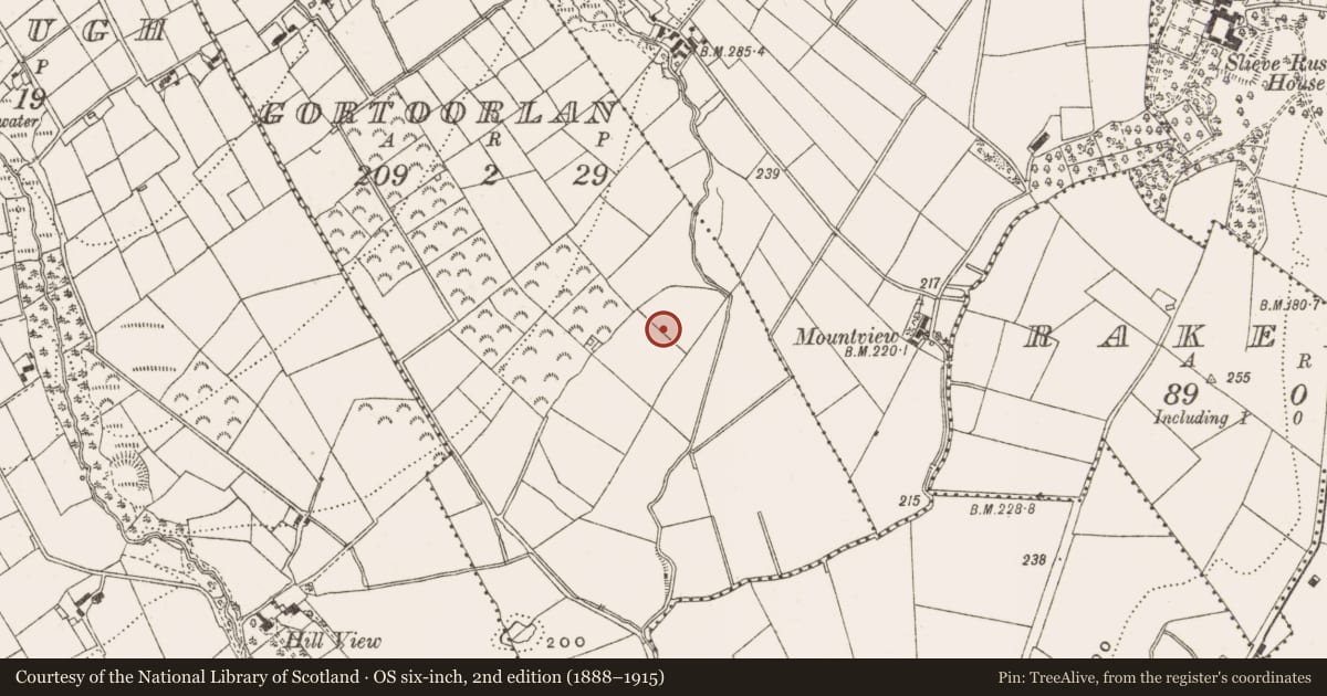 Ordnance Survey six-inch map, 2nd edition (1888–1915) covering the location of Ringfort - unclassified, Gortoorlan, County Cavan, with a pin at the register's coordinates