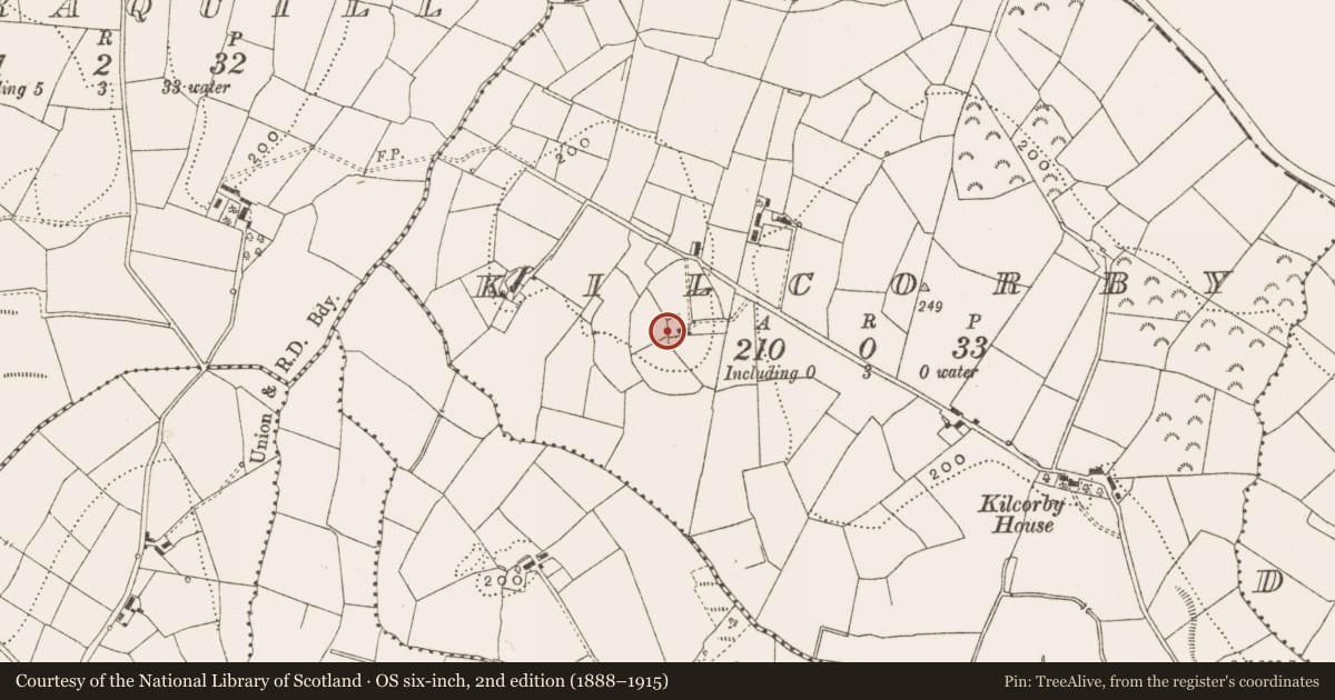 Ordnance Survey six-inch map, 2nd edition (1888–1915) covering the location of Enclosure - large enclosure, Kilcorby, County Cavan, with a pin at the register's coordinates