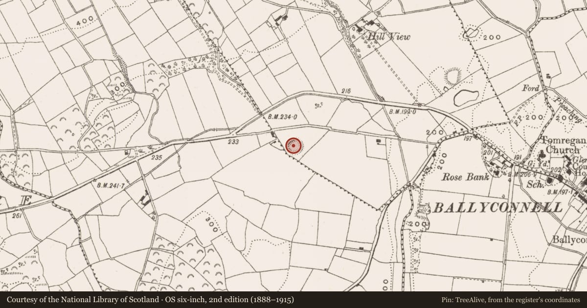 Ordnance Survey six-inch map, 2nd edition (1888–1915) covering the location of Ringfort - rath, Snugborough, County Cavan, with a pin at the register's coordinates