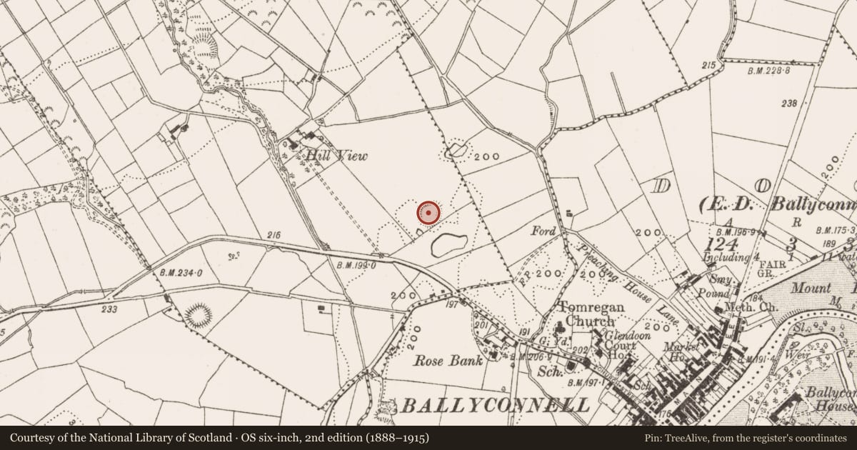 Ordnance Survey six-inch map, 2nd edition (1888–1915) covering the location of Ringfort - rath, Snugborough, County Cavan, with a pin at the register's coordinates