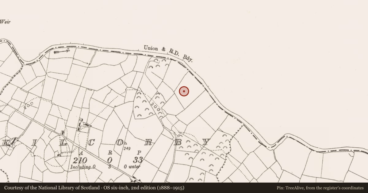 Ordnance Survey six-inch map, 2nd edition (1888–1915) covering the location of Habitation site, Kilcorby, County Cavan, with a pin at the register's coordinates