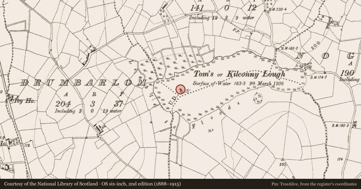 Ordnance Survey six-inch map, 2nd edition (1888–1915) covering the location of Crannog, Brankill (Lanesborough), County Cavan, with a pin at the register's coordinates