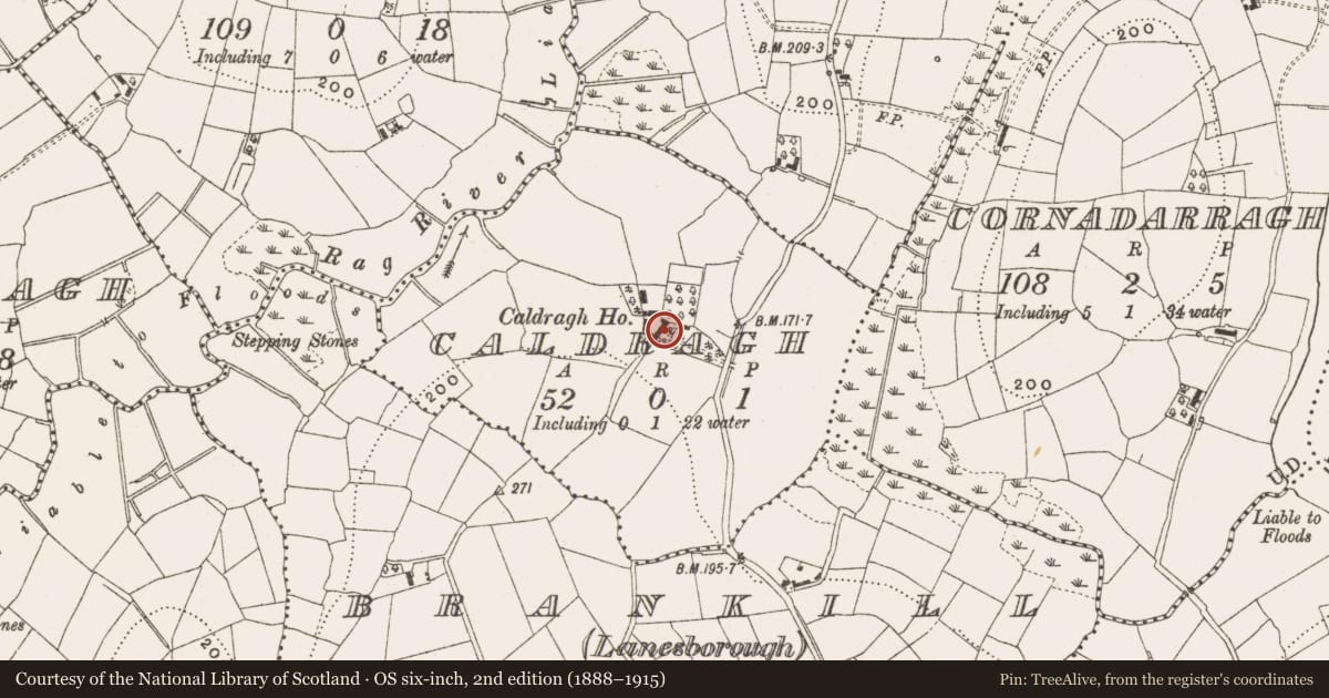 Ordnance Survey six-inch map, 2nd edition (1888–1915) covering the location of Children's burial ground, Caldragh, County Cavan, with a pin at the register's coordinates