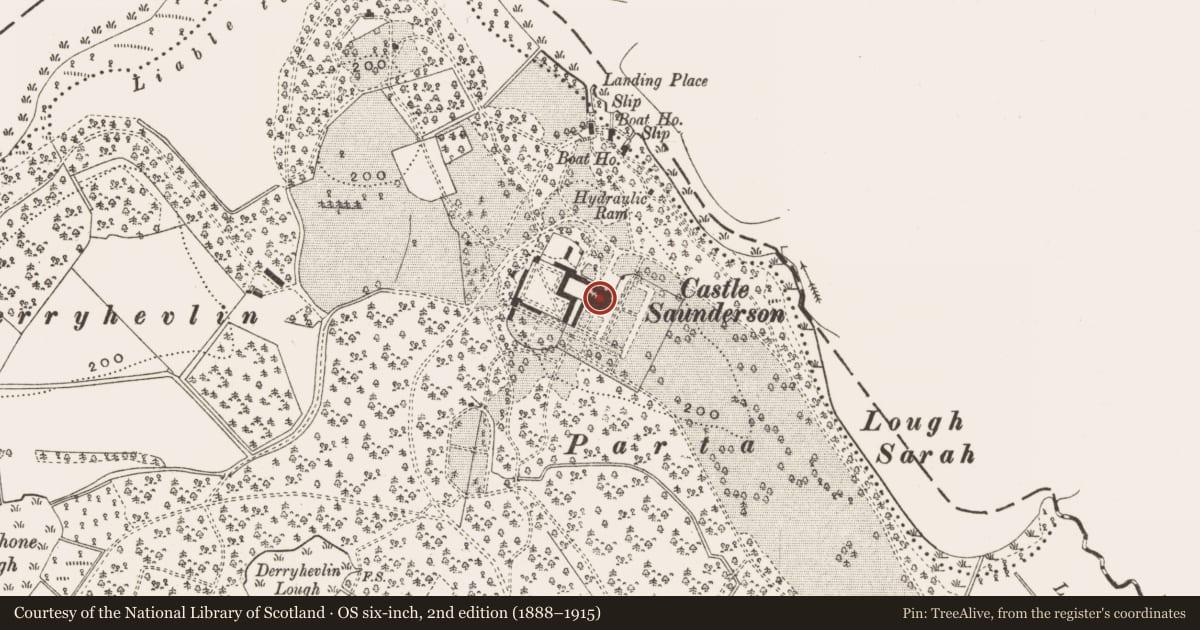 Ordnance Survey six-inch map, 2nd edition (1888–1915) covering the location of Castle - unclassified, Castlesaunderson Demesne, County Cavan, with a pin at the register's coordinates