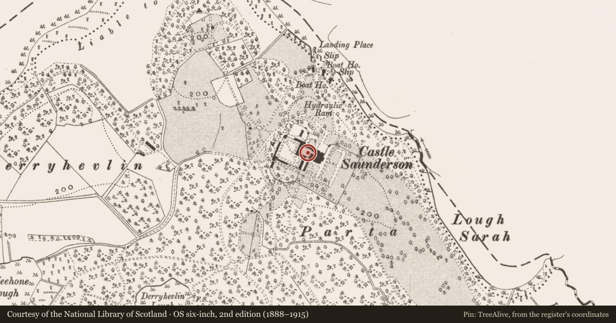 Ordnance Survey six-inch map, 2nd edition (1888–1915) covering the location of Bawn, Castlesaunderson Demesne, County Cavan, with a pin at the register's coordinates