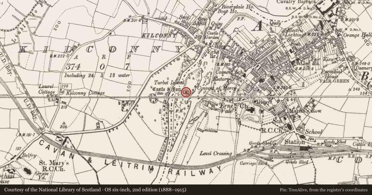 Ordnance Survey six-inch map, 2nd edition (1888–1915) covering the location of Castle - motte and bailey, Straheglin, County Cavan, with a pin at the register's coordinates