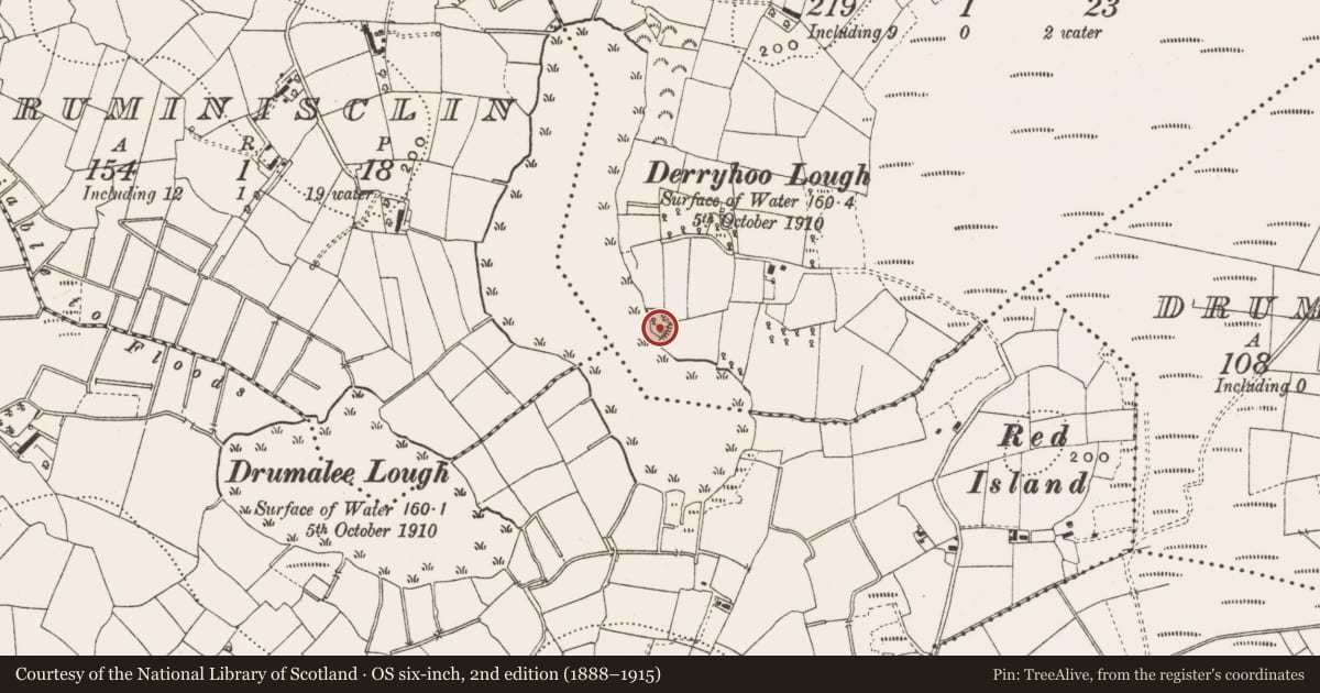 Ordnance Survey six-inch map, 2nd edition (1888–1915) covering the location of Ringfort - rath, Derryhoo, County Cavan, with a pin at the register's coordinates