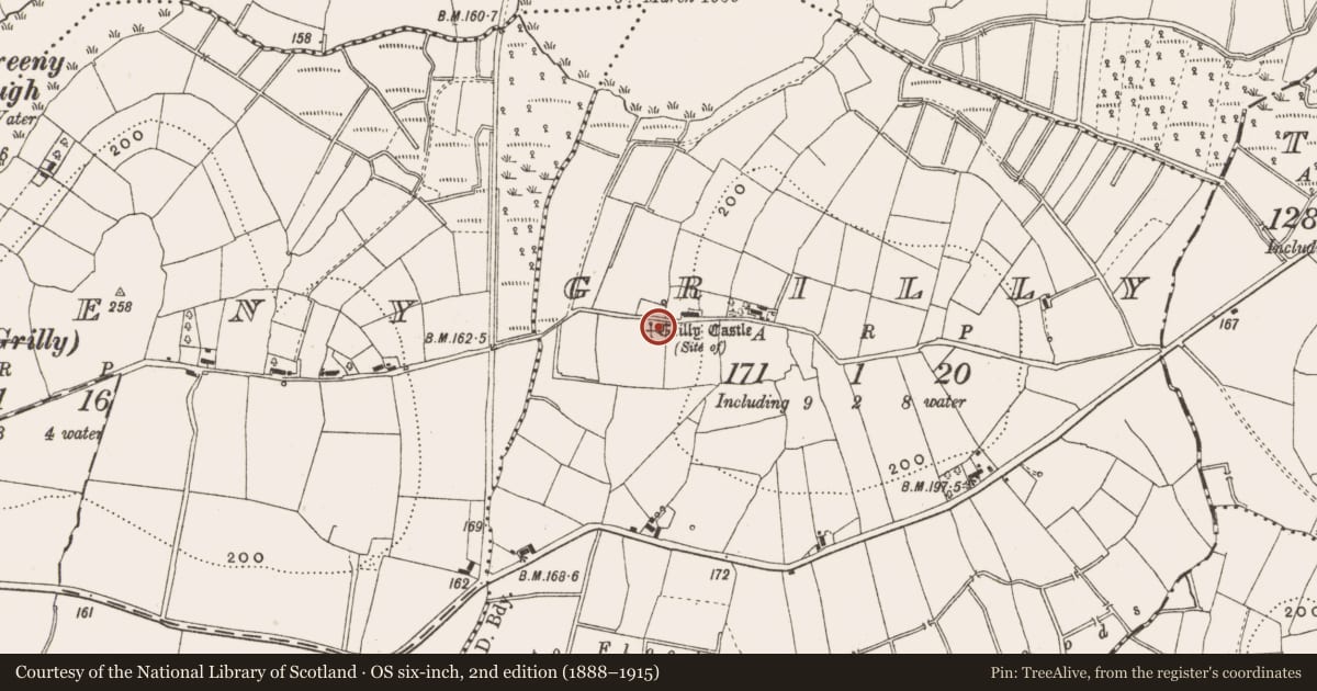 Ordnance Survey six-inch map, 2nd edition (1888–1915) covering the location of Castle - unclassified, Grilly, County Cavan, with a pin at the register's coordinates