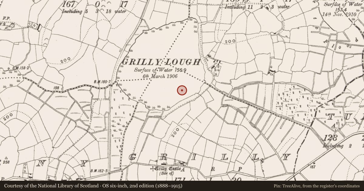 Ordnance Survey six-inch map, 2nd edition (1888–1915) covering the location of Crannog, Grilly, County Cavan, with a pin at the register's coordinates