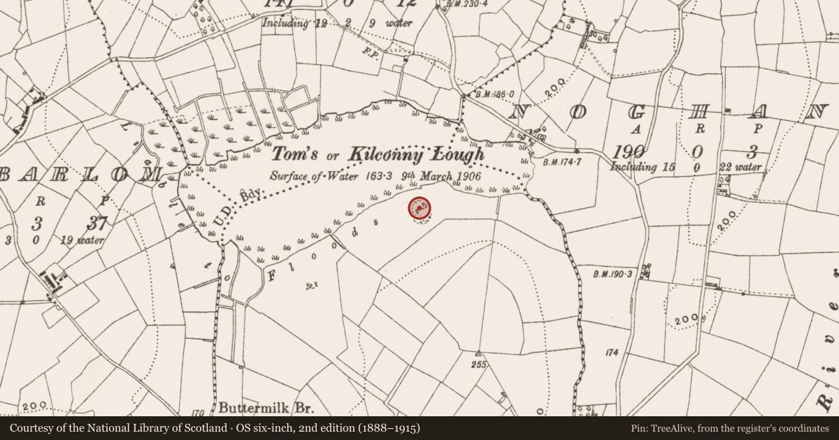 Ordnance Survey six-inch map, 2nd edition (1888–1915) covering the location of Crannog, Kilconny, County Cavan, with a pin at the register's coordinates