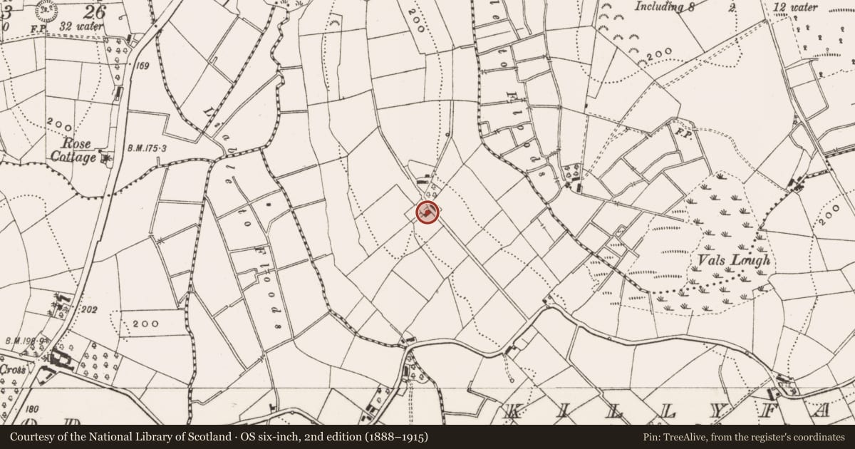 Ordnance Survey six-inch map, 2nd edition (1888–1915) covering the location of Bawn, Killyfana, County Cavan, with a pin at the register's coordinates