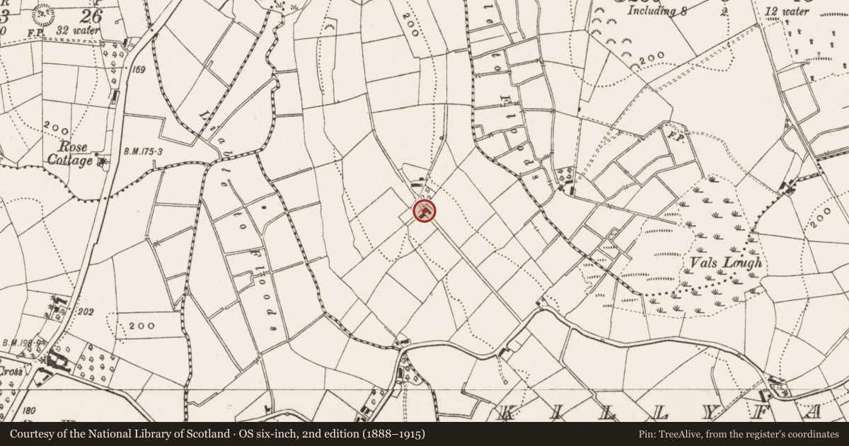 Ordnance Survey six-inch map, 2nd edition (1888–1915) covering the location of Enclosure, Killyfana, County Cavan, with a pin at the register's coordinates