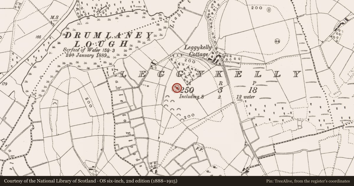 Ordnance Survey six-inch map, 2nd edition (1888–1915) covering the location of Ringfort - rath, Leggykelly, County Cavan, with a pin at the register's coordinates