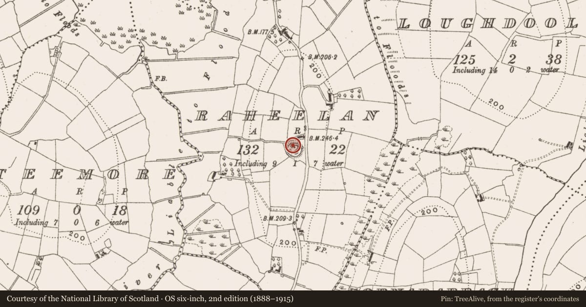 Ordnance Survey six-inch map, 2nd edition (1888–1915) covering the location of Ringfort - rath, Raheelan, County Cavan, with a pin at the register's coordinates