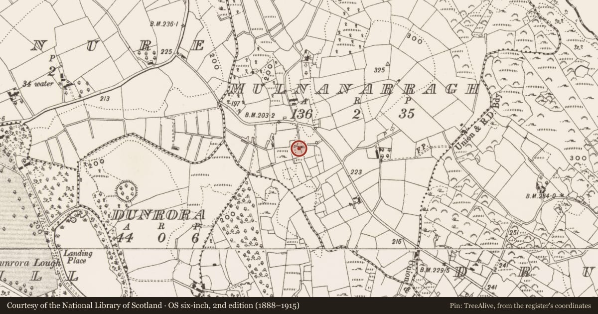Ordnance Survey six-inch map, 2nd edition (1888–1915) covering the location of Ringfort - cashel, Mulnanarragh, County Cavan, with a pin at the register's coordinates