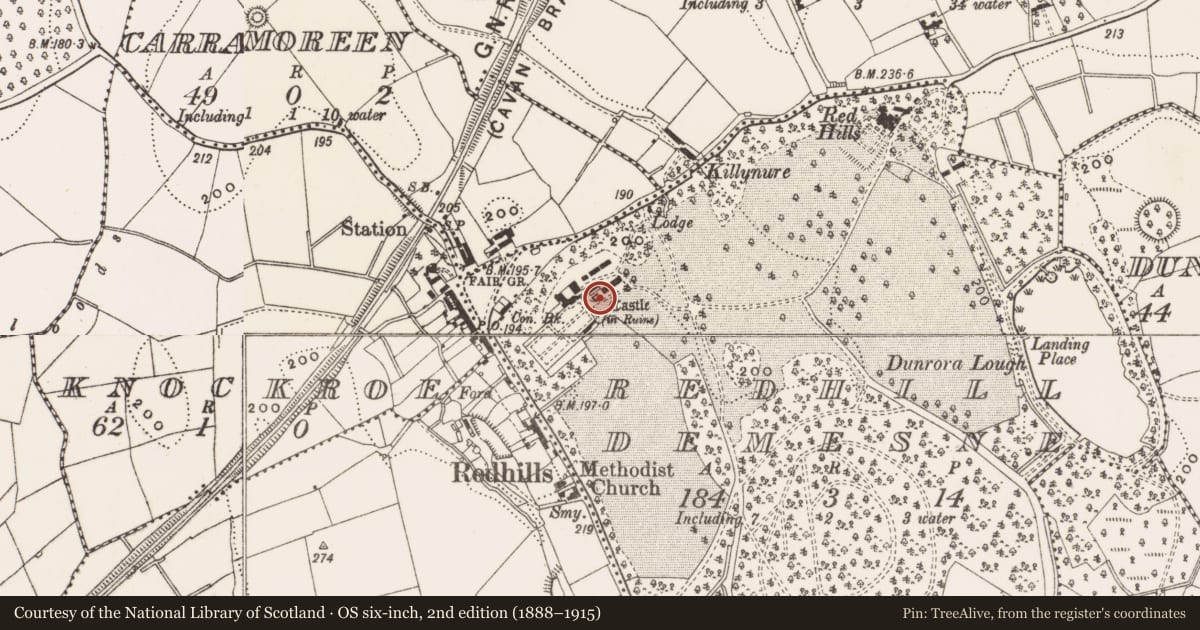 Ordnance Survey six-inch map, 2nd edition (1888–1915) covering the location of House - fortified house, Redhill Demesne, County Cavan, with a pin at the register's coordinates