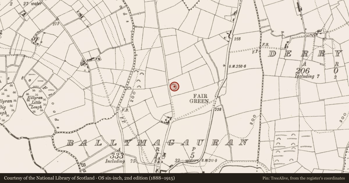 Ordnance Survey six-inch map, 2nd edition (1888–1915) covering the location of Ringfort - rath, Ballymagauran, County Cavan, with a pin at the register's coordinates